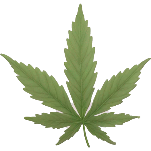 pale pink cbd leaf aesthetic  emoji