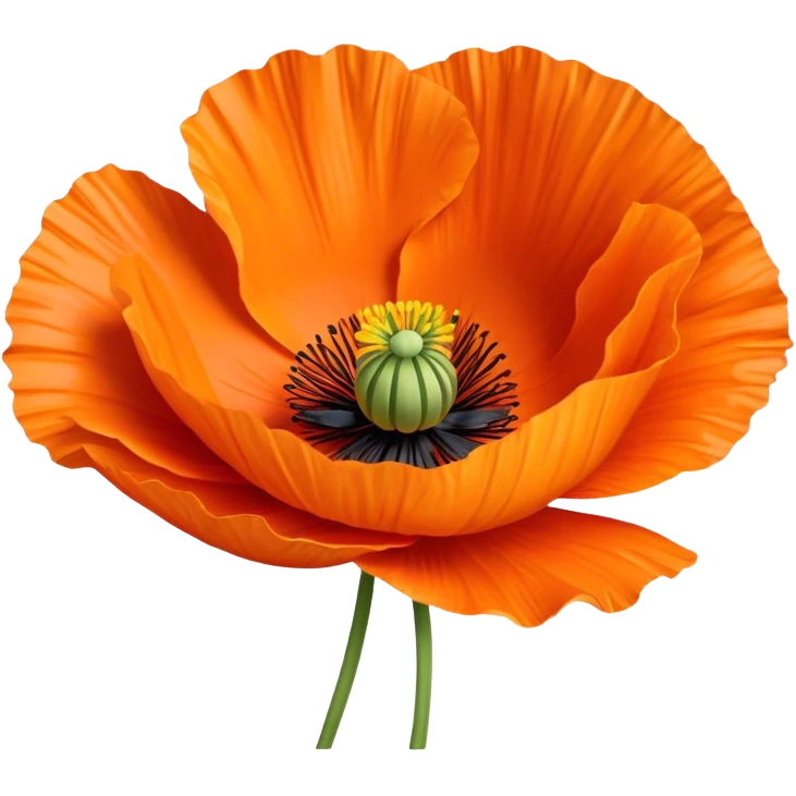 Orange poppy flower emoji