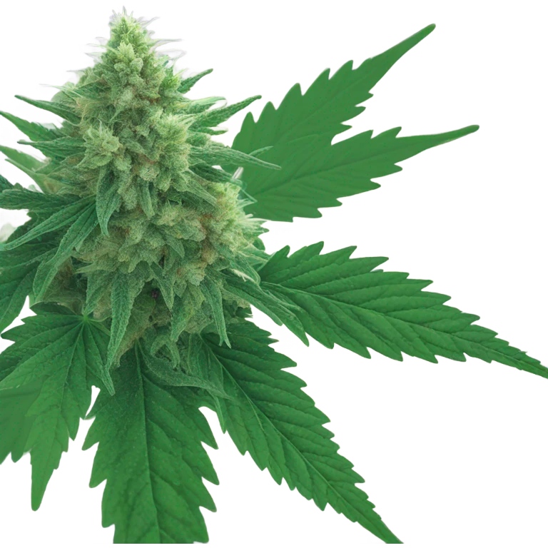 Weed emoji