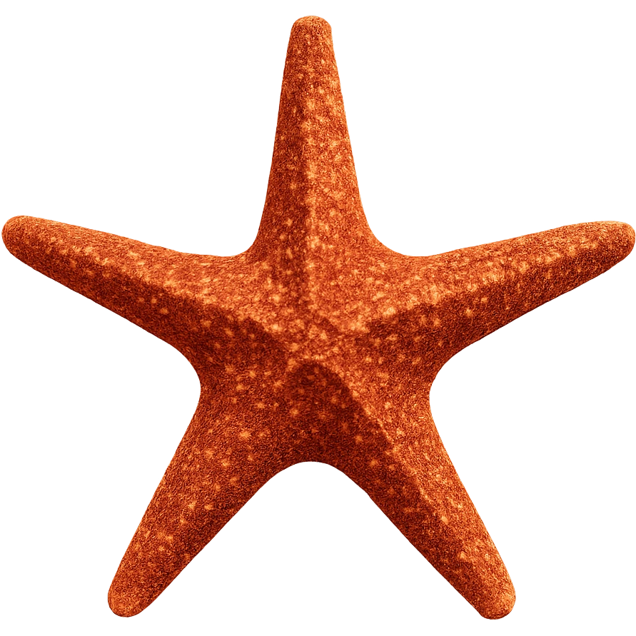 Starfish emoji