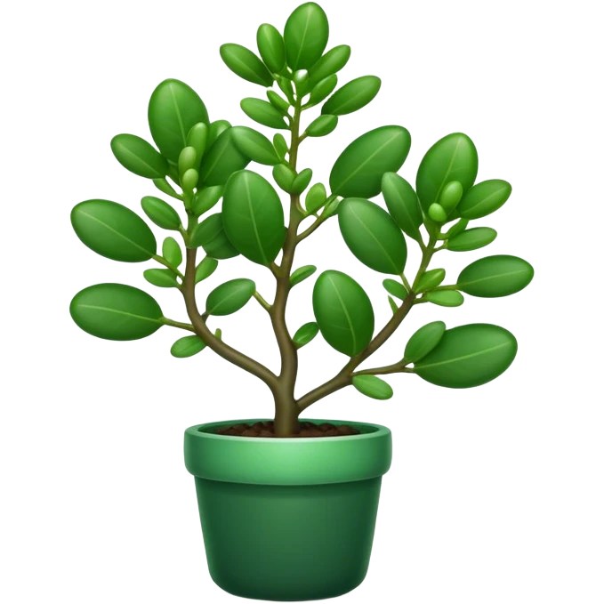 Cinematic Realistic Jade Plant Emoji, Thick and glossy, with dark green, round leaves that shine under the light. The sturdy stems and vibrant foliage give a sense of prosperity and tranquility. Soft glowing outline, capturing the essence of good luck, growth, and natural elegance in a flourishing jade plant! emoji