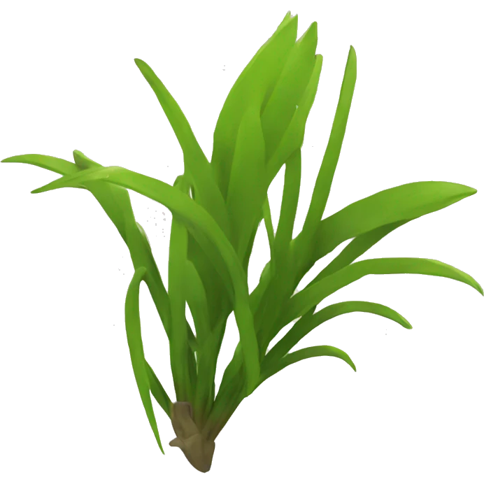 	Flatspike sedge emoji