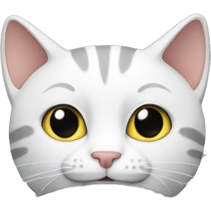 Cat driving  in a BMW-branded vehicle emoji