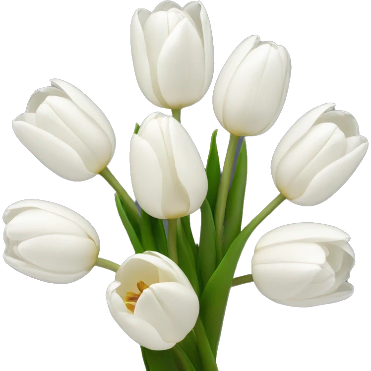 White tulips  emoji