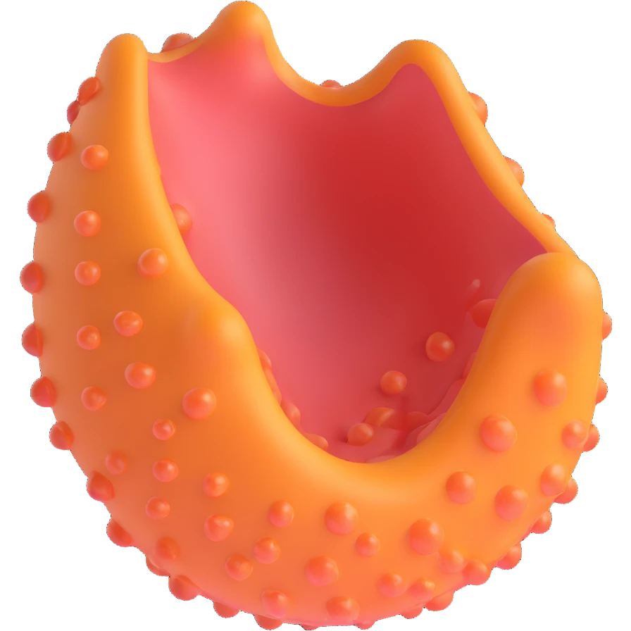 simple 3D illustration of a biomembrane with double phospholipid layer and a channel protein, clean and easy to interpret, educational emoji