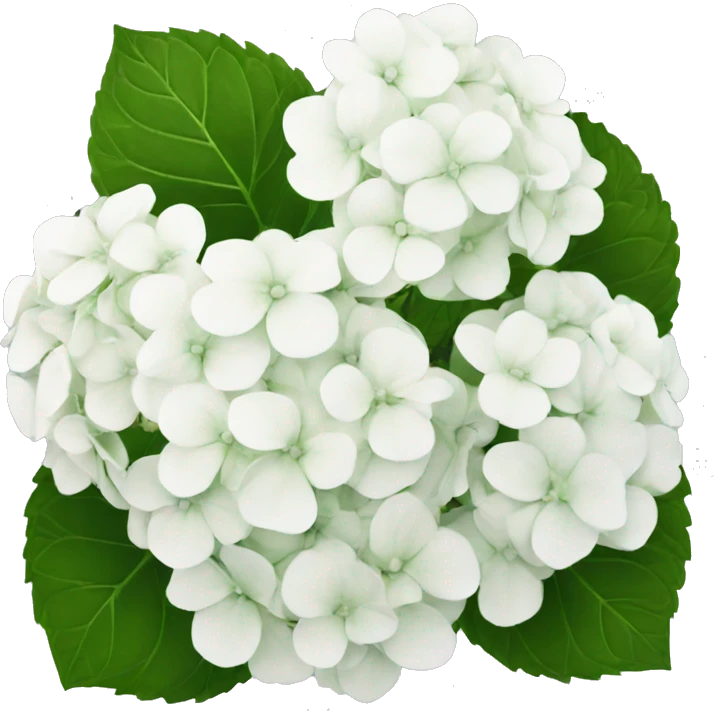 White hydrangea emoji