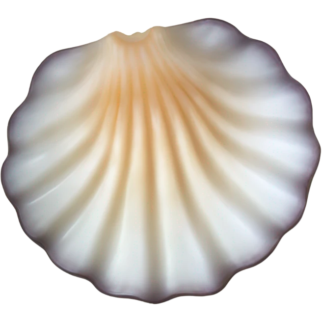 scallop emoji