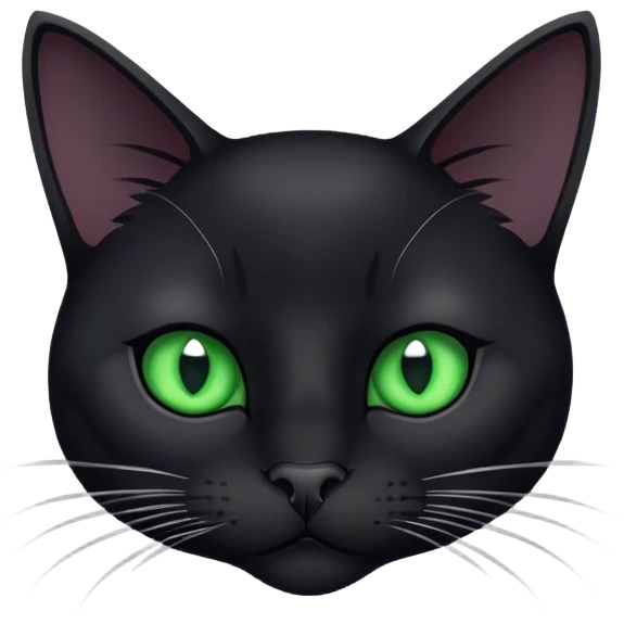 Realistic black cat with green eyes, white checks and black nose emoji