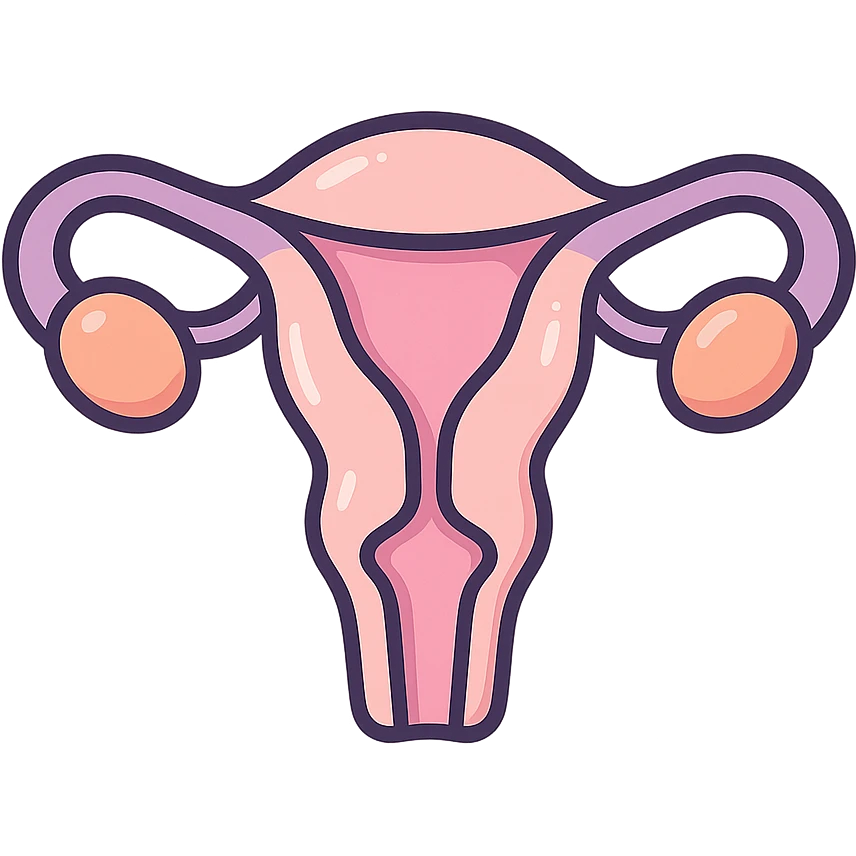 female uterus, anatomically accurate and detailed, detailed shadows and highlights, thin clean contours, soft rounded shapes, pastel palette #98B5BC, #B5B3C1, #C9A3C9, #E4C0CA, #F7DCD1, #F7C0AA, modern Japanese pop art and sticker aesthetic, soft lighting, transparent background emoji