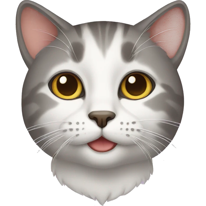 cat emoji