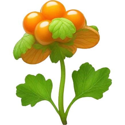 Cloudberry emoji