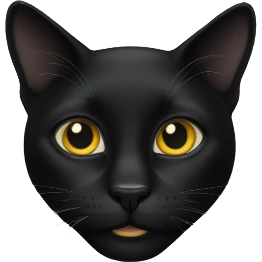 Black cats  emoji