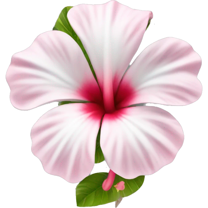 hibiskus Flower white pink emoji