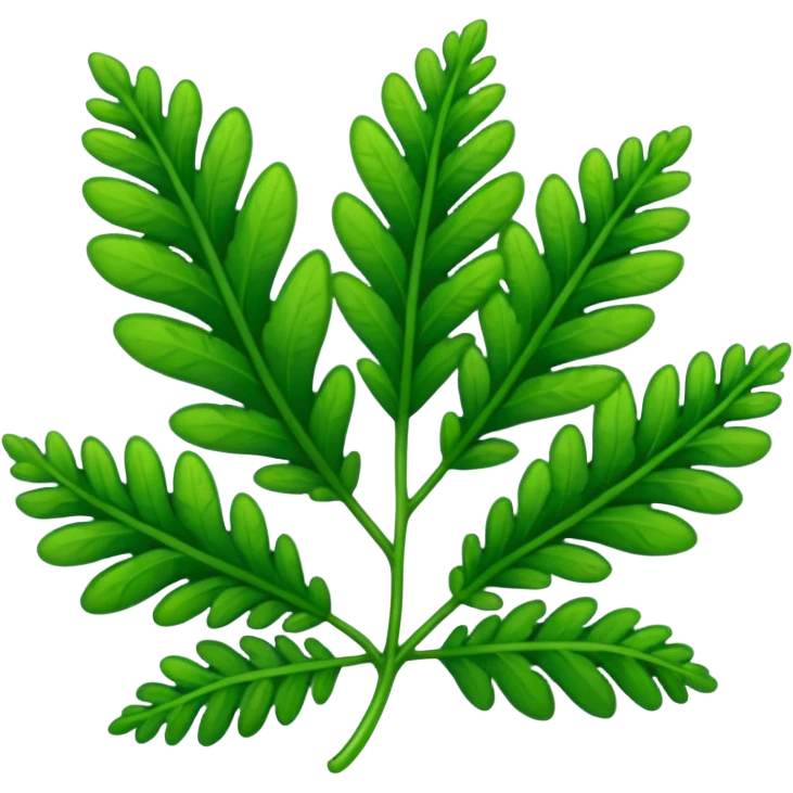 Selaginella  emoji