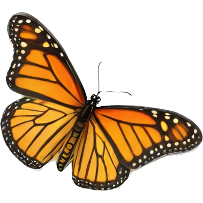Monarch butterfly in sunlight  emoji