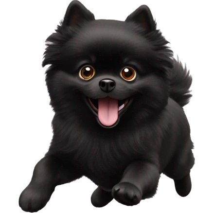 Black pomeranian jump emoji