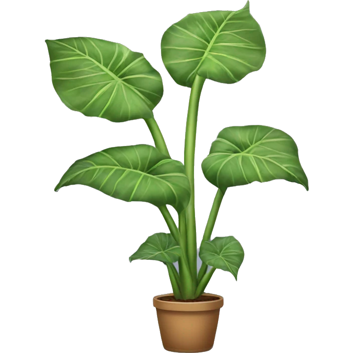 Alocasia plant emoji