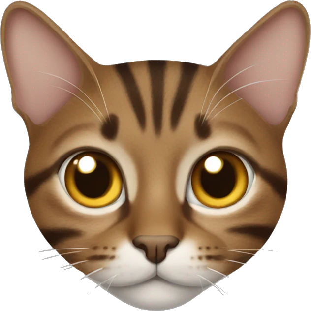 Brown tabby cat emoji