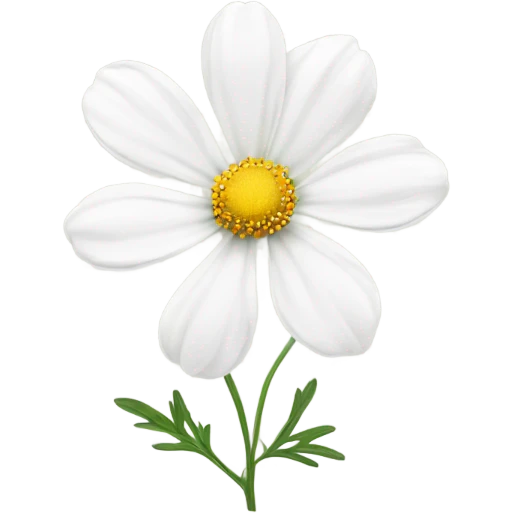 cosmos white flower emoji