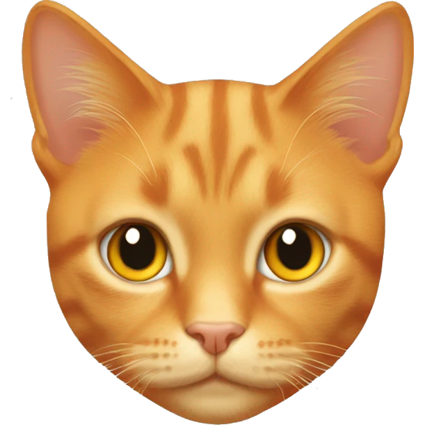 Orange tabby cat with gold eyes emoji
