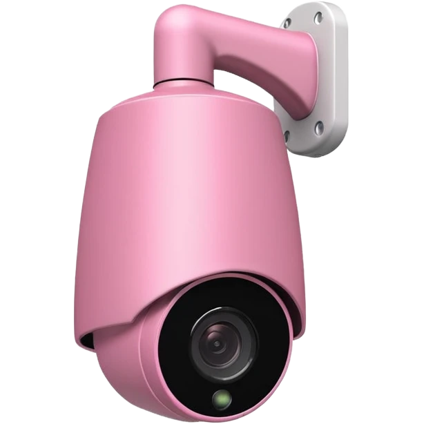 Security Camera pink Axis P1346-E emoji