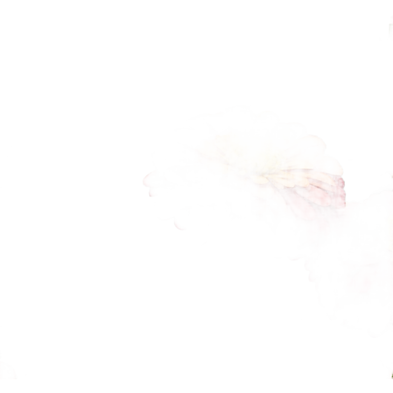 Zinnias emoji