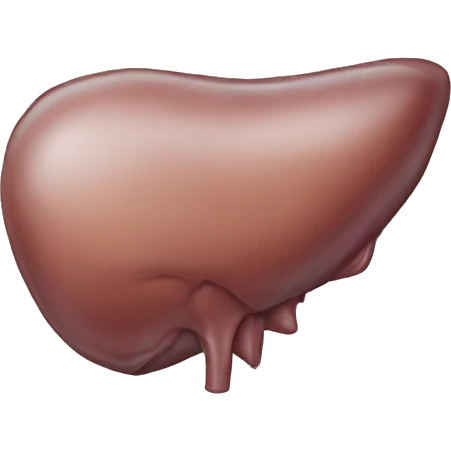 liver emoji