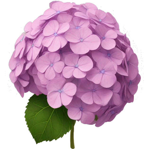 hydrangea  emoji