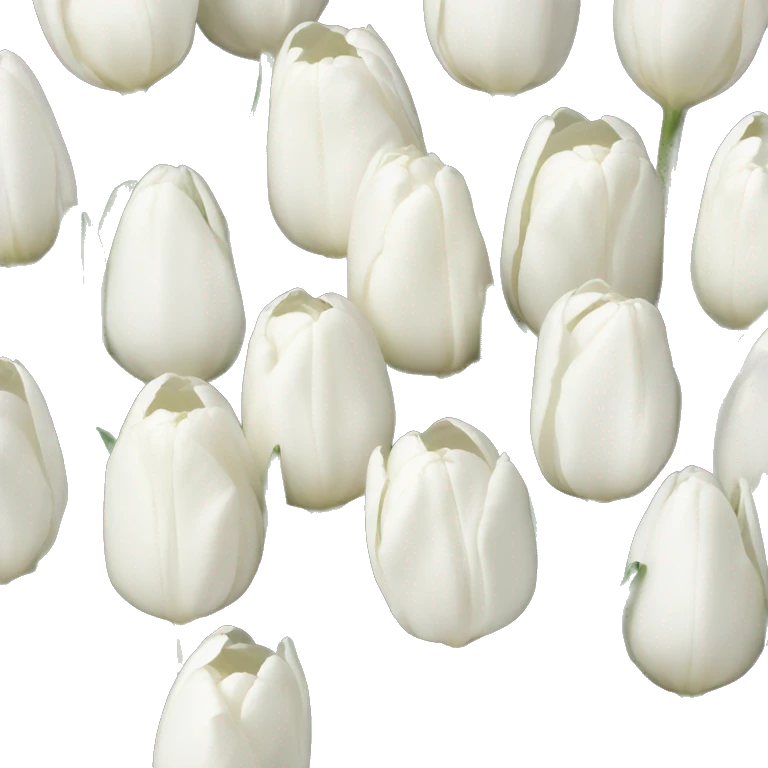 white tulips emoji