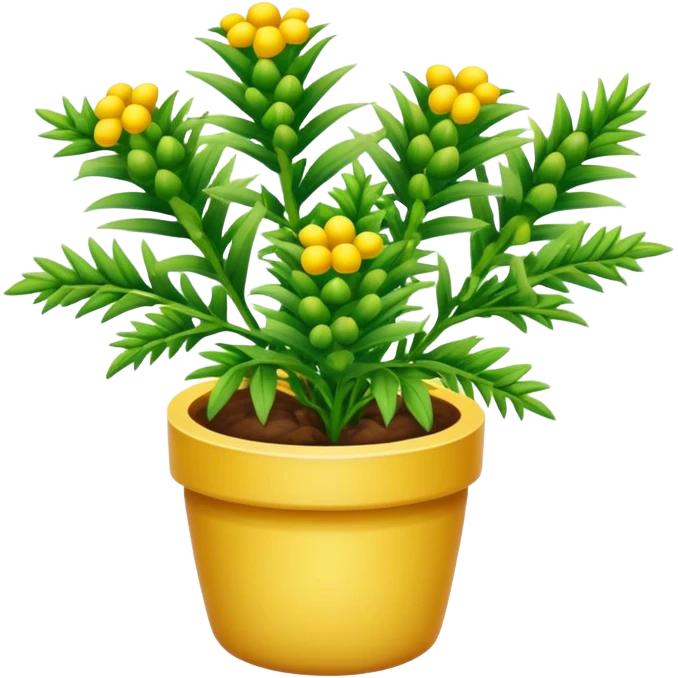 Pineapple Weed herb plant  emoji