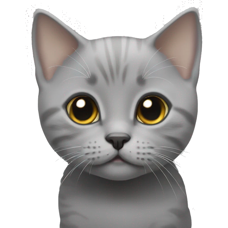 Grey British short hair kitten with white eye liner emoji
