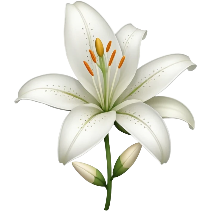 Lily flower ￼ emoji