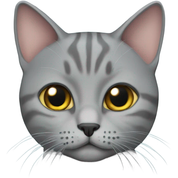 Grey British short hair cat emoji