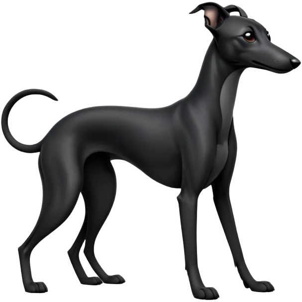 cinematic-[black greyhound]-realistic-full-body-sitting-emoji,-tail-resting-loosely-beside-its-paws,-head-tilted-dramatically, -sleek-[black]-fur,-simplified-yet-realistic-focused-features,-highly-detailed,-glowing-with-an-almost-sarcastic-glow emoji