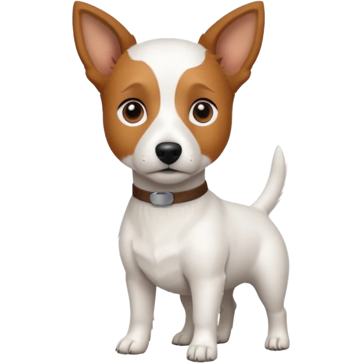 a fully white jack russell the size of a kelpie with light brown ears and a light brown patch on one eye emoji