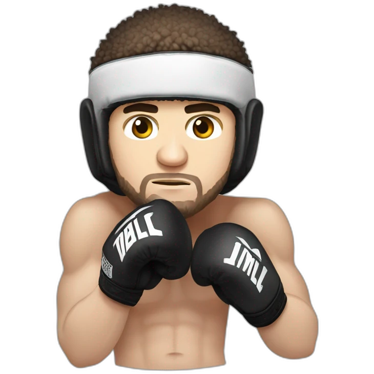 khabib nurmagomedov boxing  emoji
