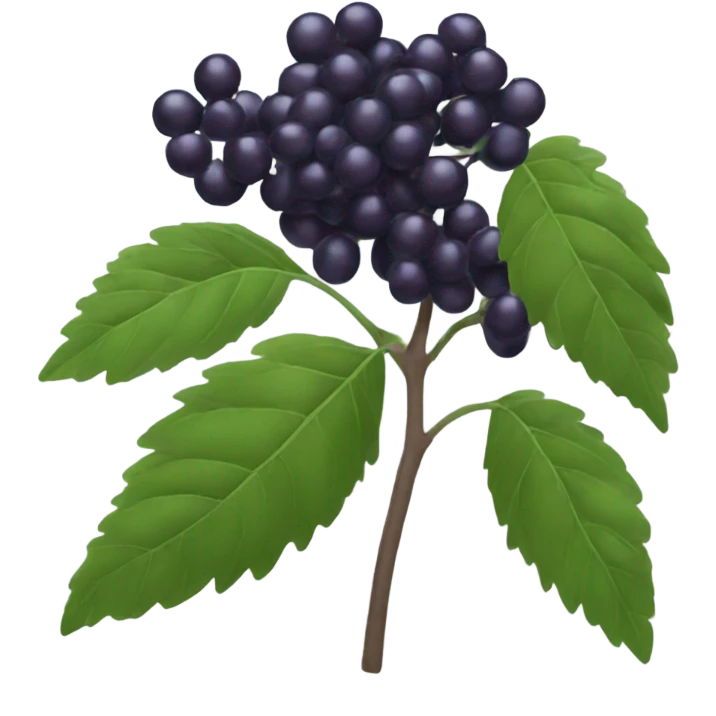 elderberry emoji