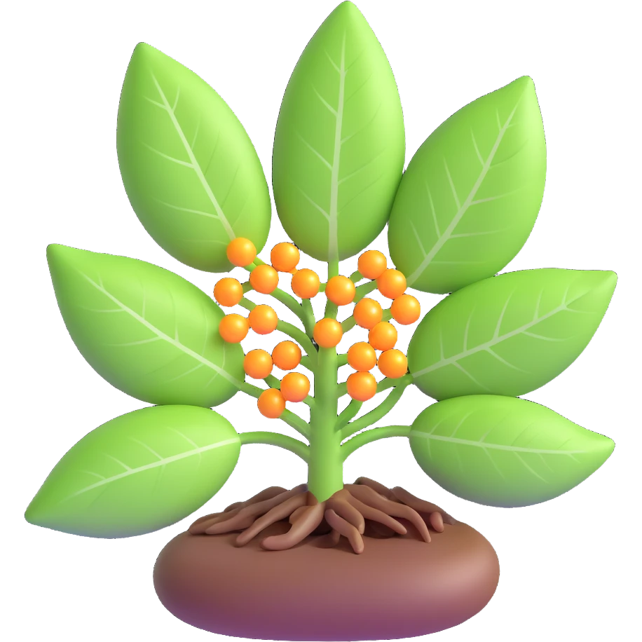 highly scientific detailed labeled 3D illustration of photosynthesis with molecular detail showing ATP NADPH and all relevant molecules transparent background emoji