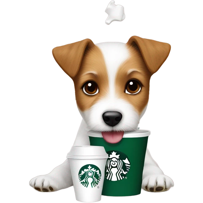 a fluffy parson Russell terrier eating pup cups from Starbucks  emoji