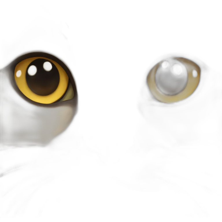Burmese cat face emoji