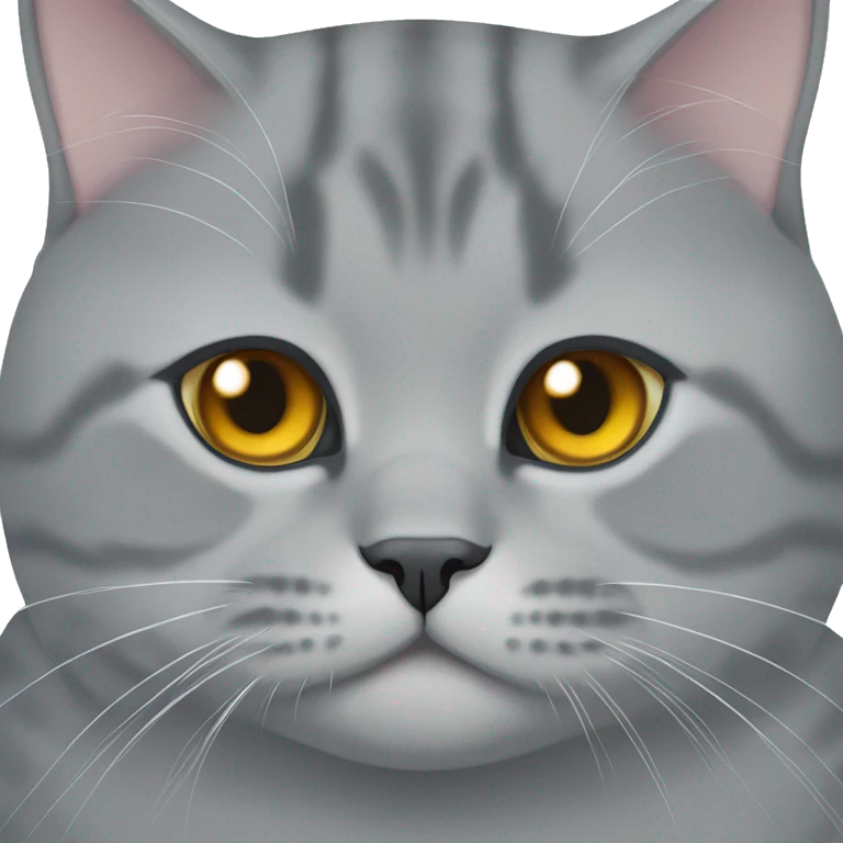 British shorthair cat emoji