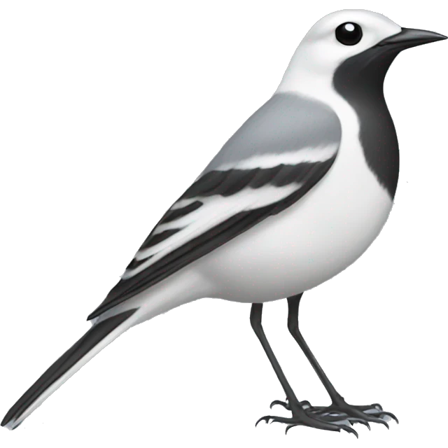 White wagtail emoji