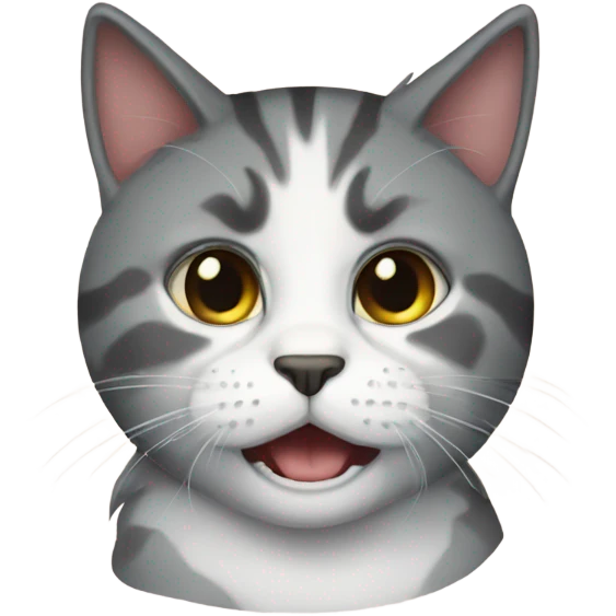 cryibg cat emoji