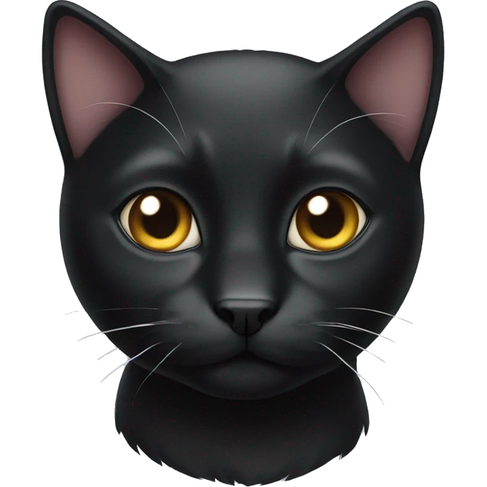 Black cat with white nose  emoji