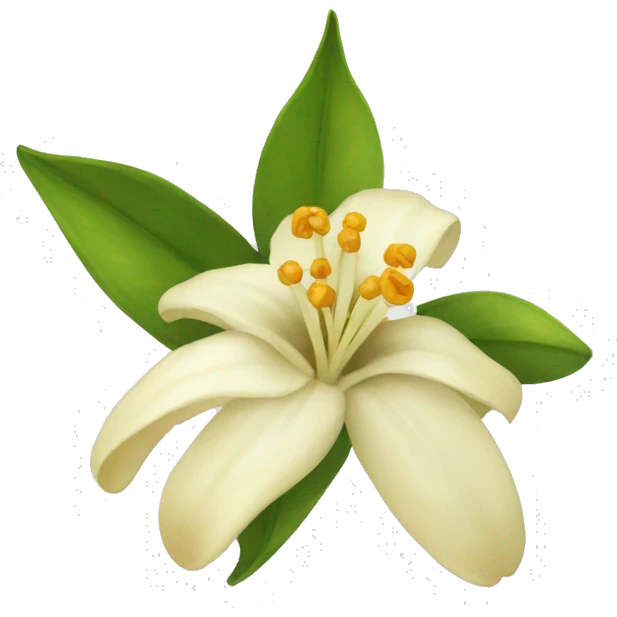 vanilla flower emoji