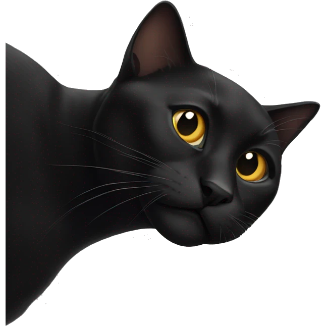 Black cat  emoji