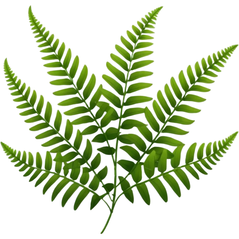 lush green fern fronds, natural plant emoji