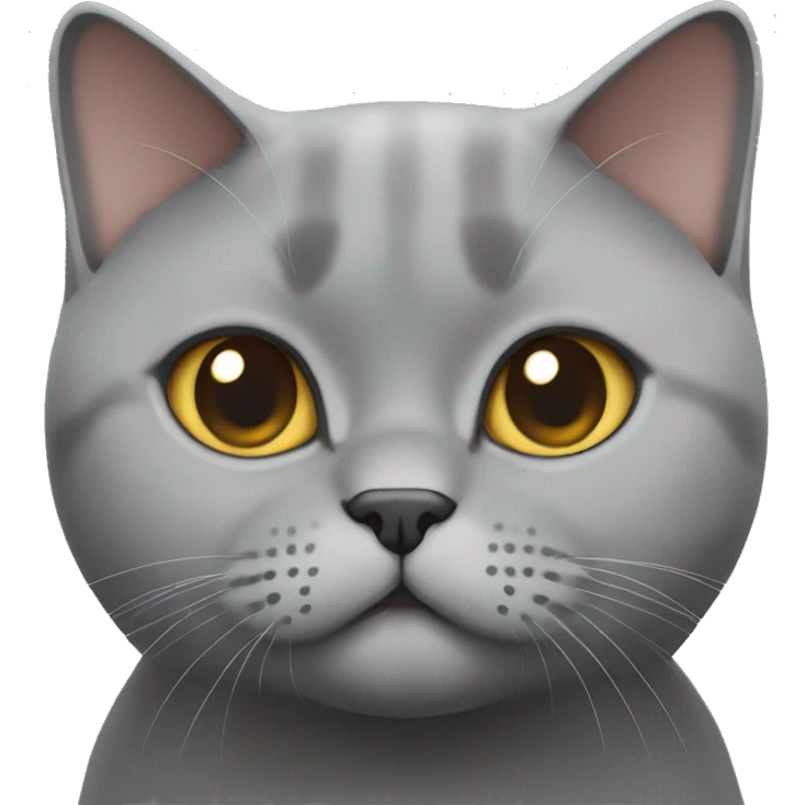  British shorthair cat emoji