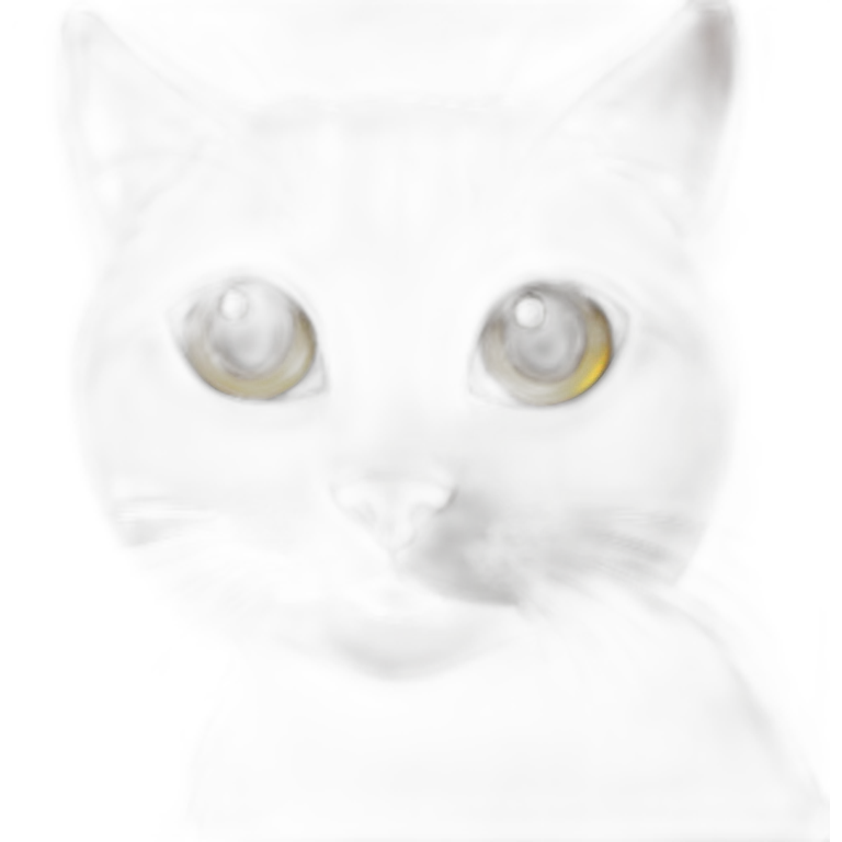 Cat loves eye emoji
