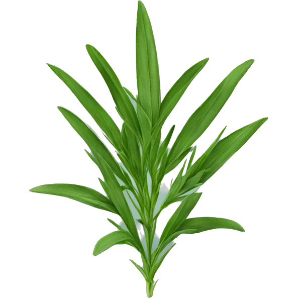 Tarragon  emoji